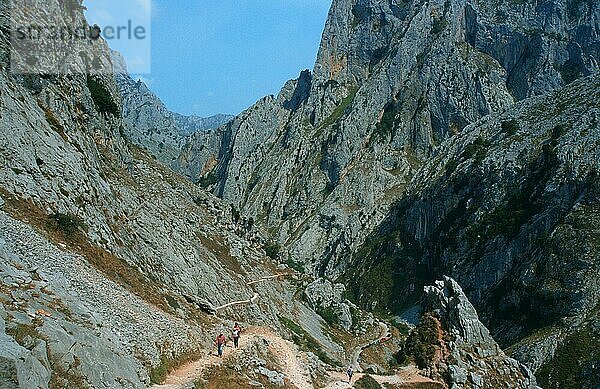 Picos de Europa Berge  Garganta del Cares  Kantabrien  Cantabria  Spanien  Europa