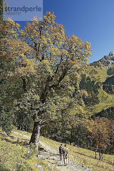 Wanderer  Großer Ahornboden  Alpenpark Karwendel  Tirol  Österreich  Europa