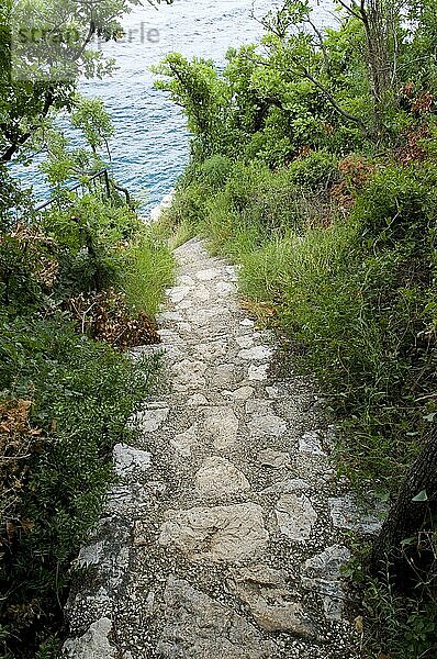 Fußweg zum Meer  Crikvenica  Kvarner Bucht  Kroatien  Steintreppe  Europa