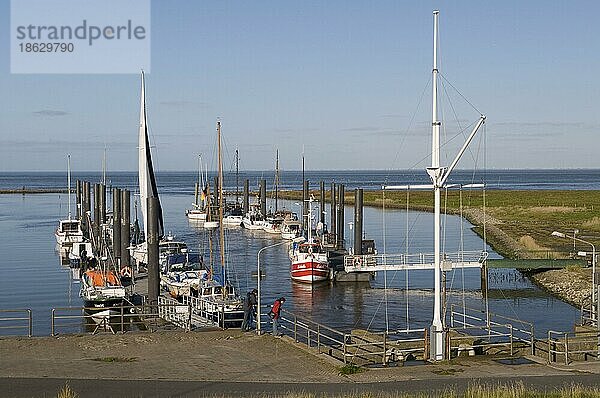 Hafen  Altenbruch  Cuxhaven  Niedersachsen  Deutschland  Europa