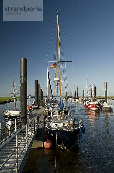 Hafen  Altenbruch  Cuxhaven  Niedersachsen  Deutschland  Europa