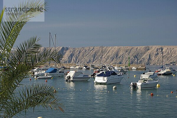 Hafen  Novi Vinodolski  Kvarner-Golf  Kroatien  Kvarner-Bucht  Europa