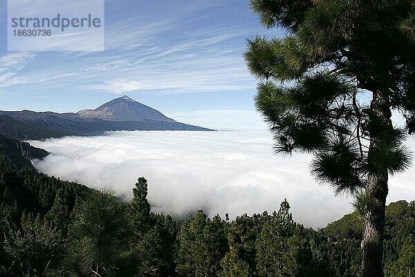 View on the Pico del Teide  Tenerife  Canary Islands  Spain  Blick auf den Pico del Teide  Teneriffa  Kanarische Inseln  Spanien  Europa