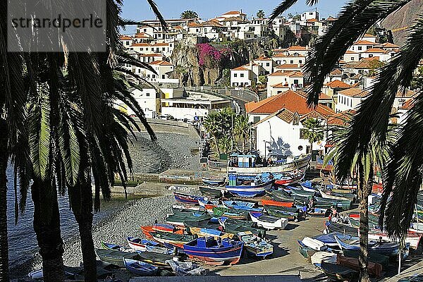 Fischerboote im Hafen  Camara de Lobos  Madeira  Portugal  Europa
