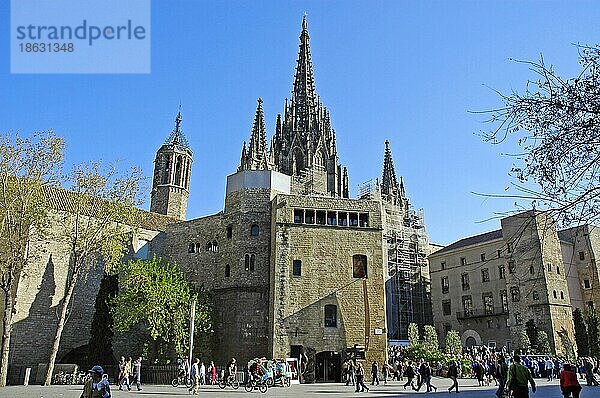 Kathedrale  Place de la Seu  Barcelona  Spanien  Europa