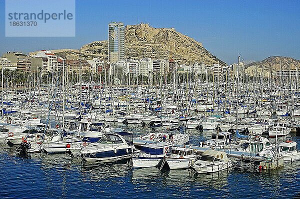 Hafen  Castillo Santa Barbara  Alicante  Costa Blanca  Spanien  Europa