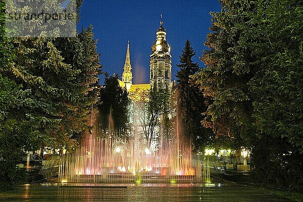 Der singende Brunnen  Dom St Elisabeth  Kaschau  Slowakei  Kosice  Kathedrale  Europa
