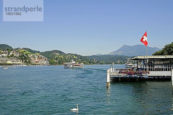 Vierwaldstättersee  Vierwaldstätter See  Viewaldstaetter See  Vitznau  Luzern  Schweiz  Europa