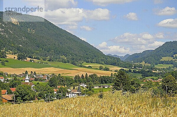 Jura Bernois  Moutier  Bern  Schweiz  Europa