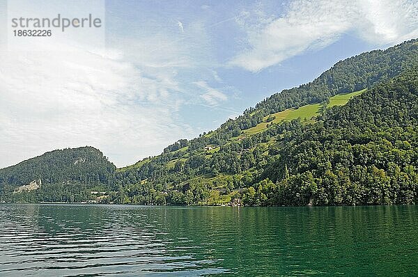 Vierwaldstättersee  Vierwaldstätter See  Vitznau  Luzern  Schweiz  Europa