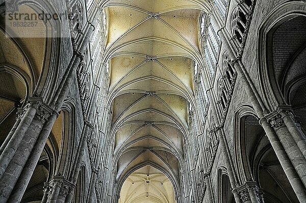 Kathedrale Notre Dame  Amiens  Picardie  Frankreich  Europa