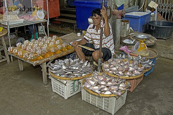 Fischstand  Pat Chong Markt  Thailand  Asien