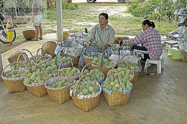 Marktstand mit Zuckeräpfeln  Thailand  Asien