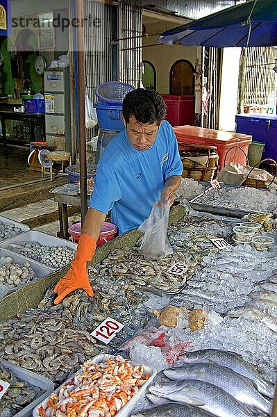 Market stall with fish and seafood  Pat Chong Market  Thailand  Marktstand mit Fisch und Meeresfrüchten  Pat Chong Markt  Thailand  Asien