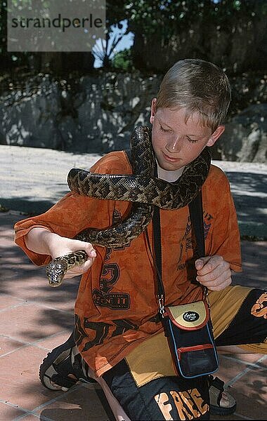 Junge mit Schlange um den Hals  Varadero  Kuba  Mittelamerika