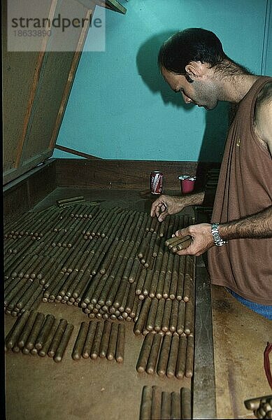 Man sorting cigars  south_america  kubanische  arbeiten  working  Menschen  people  Pinar del Rio  Cuba  Mann beim Sortieren von Zigarren  Kuba  Mittelamerika