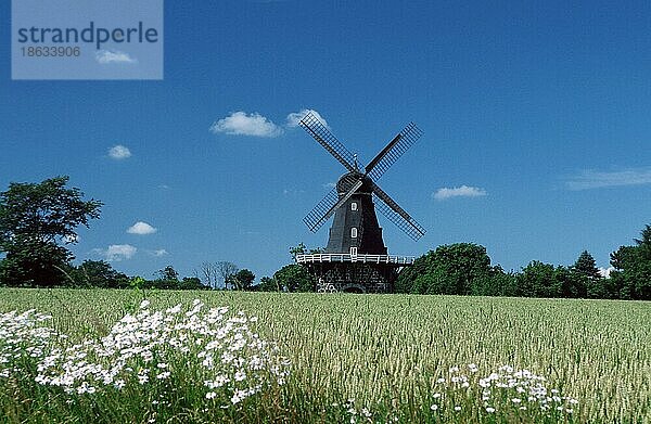 Windmühle  Aggarp  Schweden  Europa