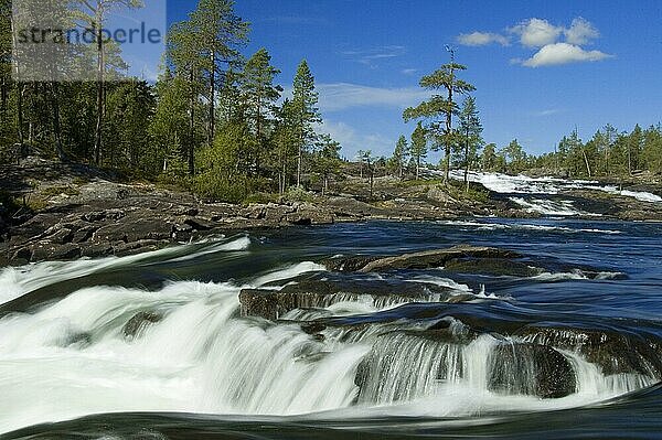 Fluss Pite  Stromschnelle Trollforsen  Norrland  Schweden  Pitealven  Piteälven  Europa