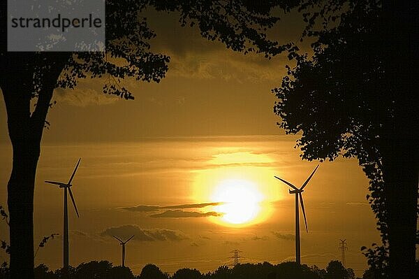 Windmühlen  Ilsede  Niedersachsen  Deutschland  Windkraftanlage  Windmühle  Windräder  Europa