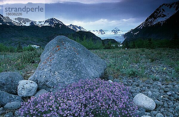 Felsen vor dem Grewingk-Gletscher  Kachemak State Park  Alaska  USA  Nordamerika