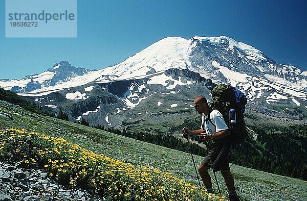 Wanderer in den Bergen  Mount Rainier-Nationalpark  Washington  USA  Nordamerika