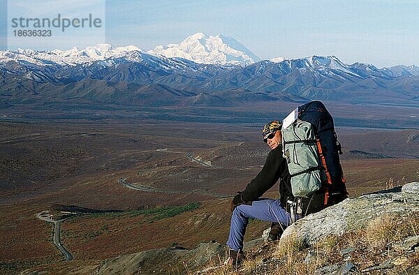 Wanderer rastet im Gebirge  Primose Ridge  Denali Nationalpark  Alaska  USA  Nordamerika