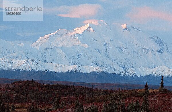 Mt. McKinley  Denali Nationalpark  Alaska  USA  Nordamerika