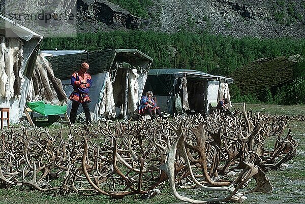 Rentiergeweihe und Zelte  Varanger-Halbinsel  Samen  Sami  Lappen  Norwegen  Europa