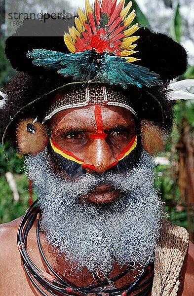 Huli man  Tari  Papua New-Guinea  Huli-Perueckenmann  Asia  Menschen  people  Brauchtum  Folklore  custums  traditions  folk_culture  Porträt  portrait  Papua-Neuguinea  Ozeanien