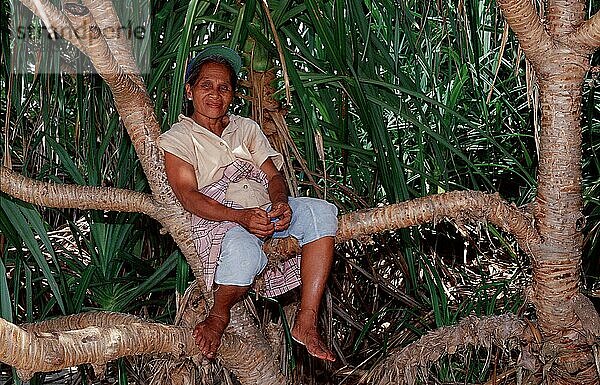 Woman sitting on tree  Bohol Island  Philippines  Frau sitzt auf Baum  Insel Bohol  Philippinen  Asien