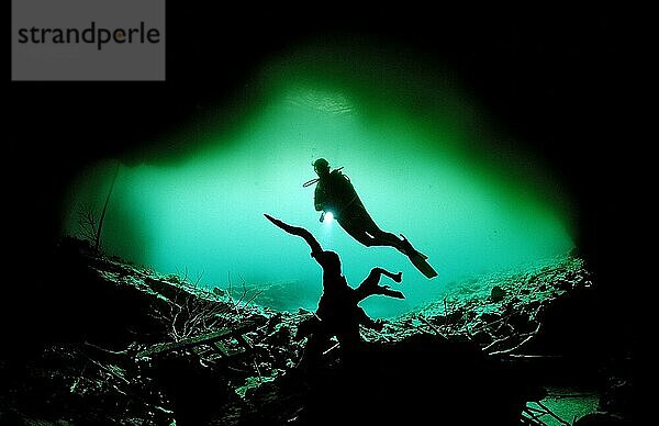 Taucher in Unterwasserhöhle Laguna Pepe  Punta Cana  Unterwasserhöhle  Dominikanische Republik  Mittelamerika