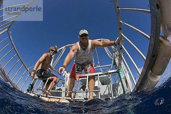 Männer auf Boot  Blick aus Käfig  beim Käfigtauchen mit Haien  Oahu  Hawaii  O'ahu  USA  Nordamerika
