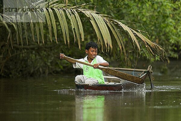 Junge in Paddelboot  Sungei Hitam Fluss  Mangrovenwald  Borneo  Kalimantan  Mangroven  Indonesien  Asien