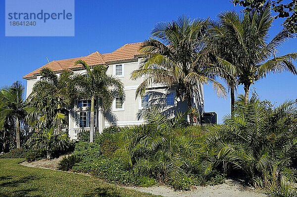 Haus und Palmen  Sanibel Island  Florida  USA  Nordamerika