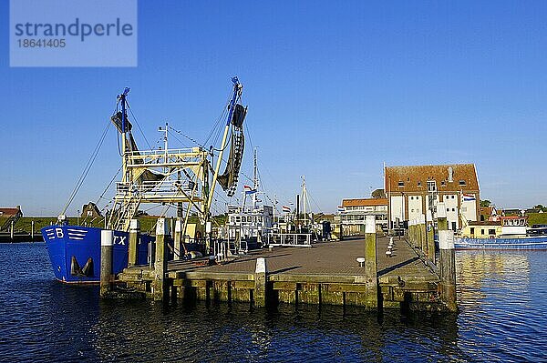 Fischerboot im Hafen  Oudeschild  Texel  Niederlande  Europa