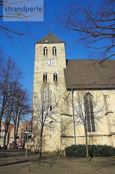 Kirche St. Dionysius  Havixbeck  Münsterland  Nordrhein-Westfalen  Deutschland  Europa