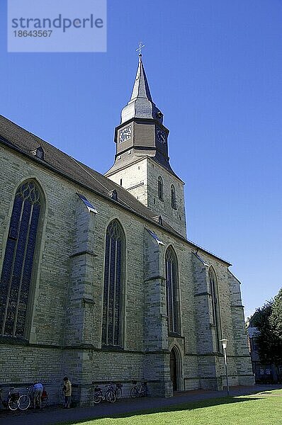 Propsteikirche St. Stephanus  Beckum  Münsterland  Nordrhein-Westfalen  Deutschland  Europa