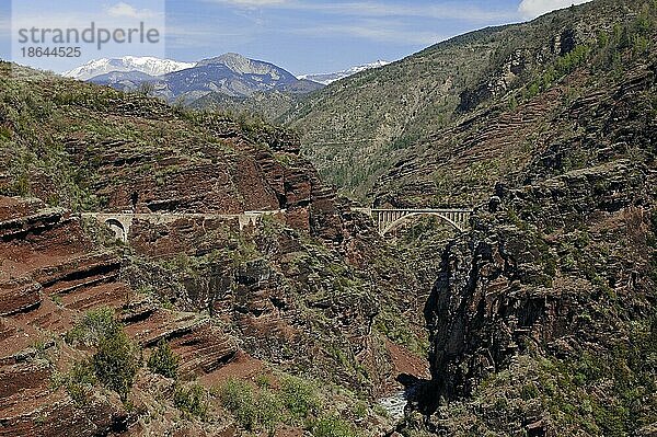 Brücke Pont de la Mariee und Schlucht Gorges de Daluis  Alpes-Maritimes  Provence-Alpes-Cote d'Azur  Südfrankreich  Daluis-Schlucht