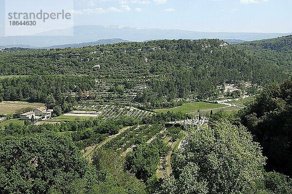 Agrarland mit Kirschplantagen  Venasque  Vaucluse  Provence-Alpes-Cote d'Azur  Südfrankreich