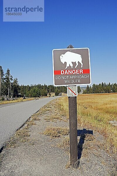 Bison-Warnschild  Upper Geyser Basin  Yellowstone Nationalpark  Wyoming  USA  Nordamerika