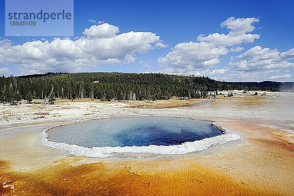 Heiße Quelle 'Crested Pool'  Upper Geyser Basin  Yellowstone Nationalpark  Wyoming  USA  Nordamerika
