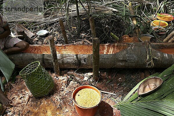 Korb aus Palmenblättern einer Warao-Frau  einer im Orinoco-Delta lebenden Indianerin  Venezuela  Südamerika