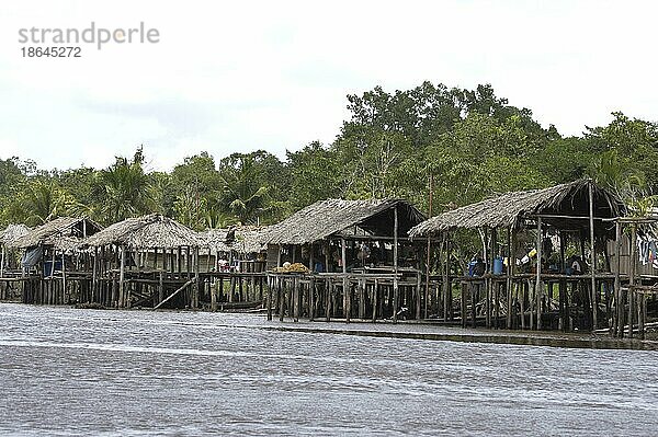 Das Dorf der Warao  Indianer im Orinoco-Delta  Venezuela  Südamerika
