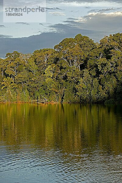 Regenwald und Fluss Madre de Dios  Manu-Nationalpark in Peru
