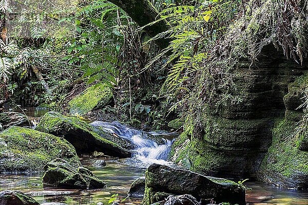 Kleiner Bach  der durch die moosbewachsenen Felsen im Regenwald in der Stadt Carrancas in Minas Gerais  Brasilien  fließt  Südamerika