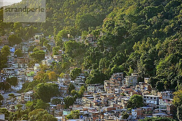 Slum zwischen der Vegetation an den Hängen der Hügel im Stadtteil Copacabana in Rio de Janeiro  Favela Chapeu Mangueira  Rio de Janeiro  Rio de Janeiro  Brasilien  Südamerika