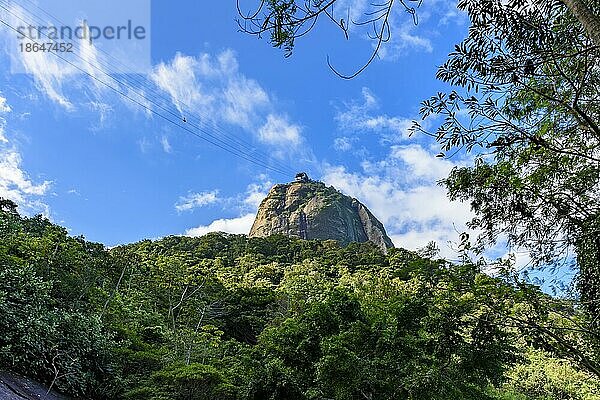 Der Zuckerhut  gesehen durch die Regenwaldvegetation auf den Hügeln von Rio de Janeiro  Brasilien  Brasilien  Südamerika