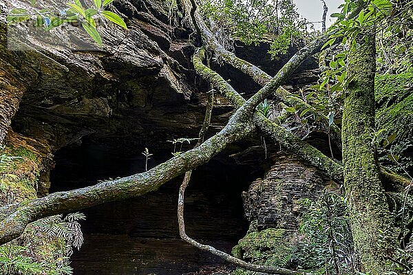 Höhleneingang inmitten der Felsen und der Vegetation des Regenwaldes in Carrancas im Bundesstaat Minas Gerais  Brasilien  Brasilien  Südamerika