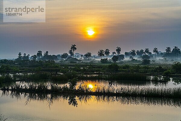 Sonnenaufgang in der Casamance  Senegal  Afrika