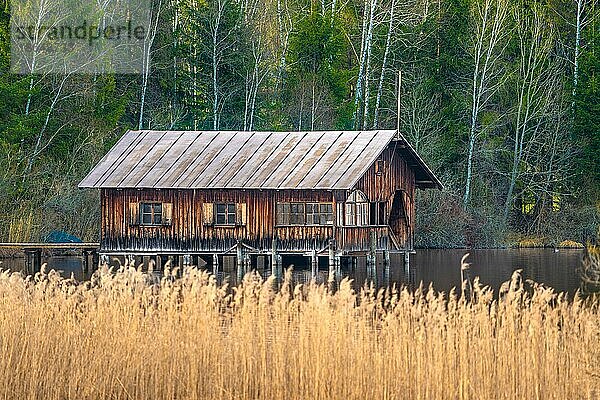 Pfahlbauten Haus hinter Schilf  Allgäu  Bayern  Deutschland  Europa